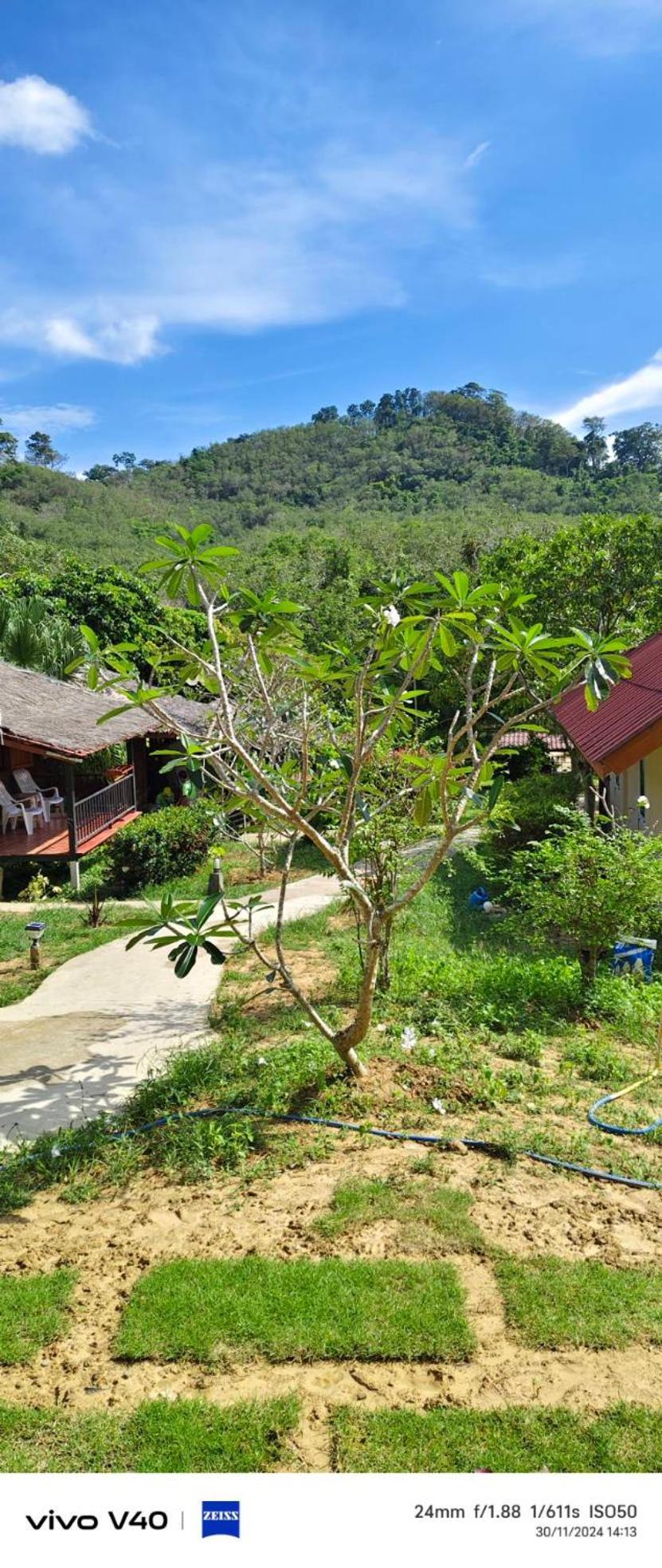 Mookies Bungalows Ko Muk Exterior foto